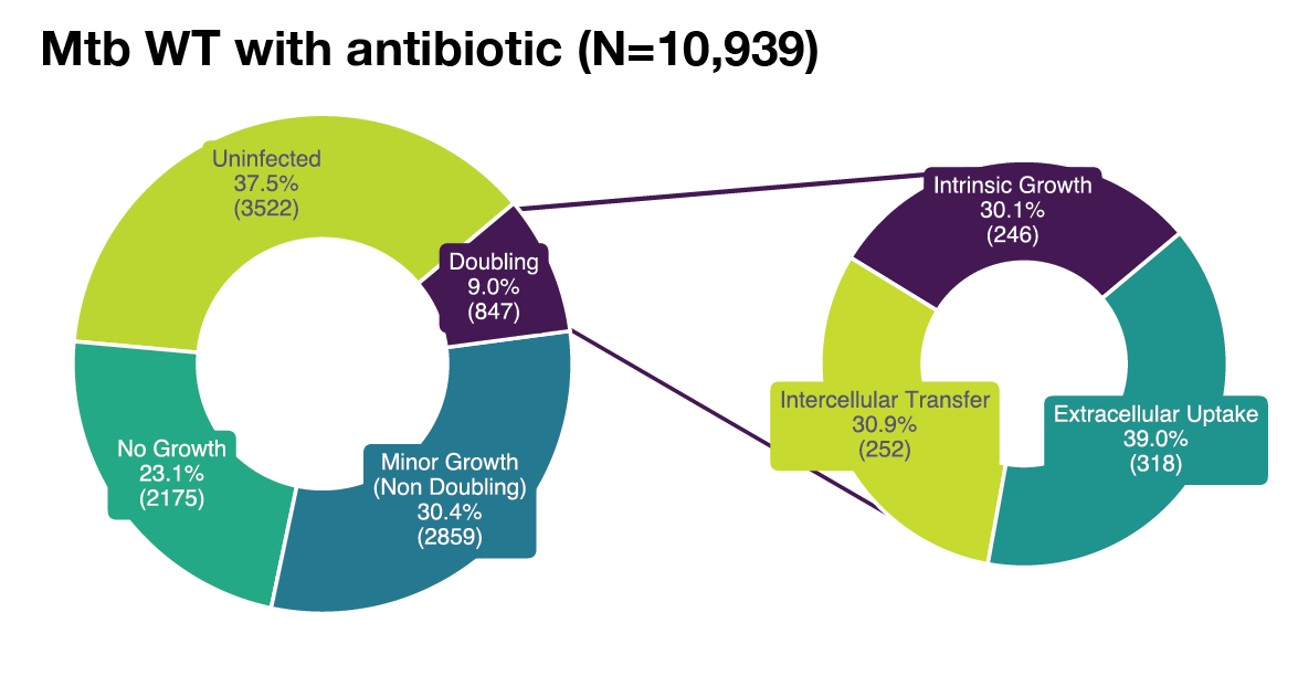 Supplementary Figure S1G